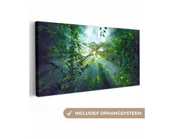 Canvas schilderij 80x40 cm - Wanddecoratie De zon schijnend door de bossen van een regenwoud in Maleisië - Muurdecoratie woonkamer - Slaapkamer decoratie - Kamer accessoires - Schilderijen op canvas