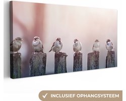 Canvas schilderij 80x40 cm - Wanddecoratie Vogels - Mussen - Paaltjes - Hout - Muurdecoratie woonkamer - Slaapkamer decoratie - Kamer accessoires - Schilderijen op canvas