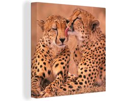 Canvas Schilderij Baby cheeta's - 90x90 cm - Wanddecoratie