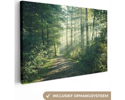Canvas schilderij bos 120x80 - Kamer decoratie accessoires bomen - Schilderijen woonkamer - Wanddecoratie slaapkamer - Muurdecoratie natuur keuken - Wanddoek interieur binnen - Woondecoratie huis - Canvasdoek - Woonaccessoires