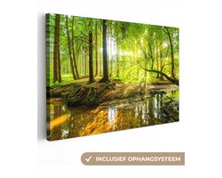 Canvas schilderij bos 60x40 - Kamer decoratie accessoires bomen - Schilderijen woonkamer - Wanddecoratie slaapkamer - Muurdecoratie natuur keuken - Wanddoek interieur binnen - Woondecoratie huis - Canvasdoek - Woonaccessoires