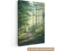 Canvas schilderij bos 80x120 - Kamer decoratie accessoires bomen - Schilderijen woonkamer - Wanddecoratie slaapkamer - Muurdecoratie natuur keuken - Wanddoek interieur binnen - Woondecoratie huis - Canvasdoek - Woonaccessoires