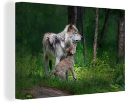 Canvas Schilderij Grijze wolf met haar pup - 120x80 cm - Wanddecoratie