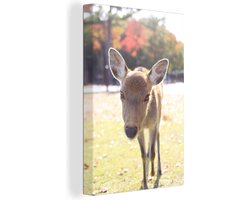 Canvas Schilderij Hert - Baby - Bomen - 20x30 cm - Wanddecoratie