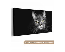 Canvas schilderij - Huisdieren - Kat - Geel - Zwart - Wit - Woonkamer - 200x100 cm - Canvasdoek - Canvas - Muurdecoratie