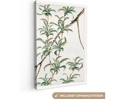 Canvas schilderij japandi 40x60 - Kamer decoratie accessoires vintage - Jungle schilderijen woonkamer - Wanddecoratie slaapkamer - Muurdecoratie keuken - Wanddoek interieur binnen - Woondecoratie huis - Woonaccessoires - Canvasdoek