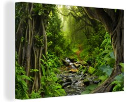 Canvas - Schilderij jungle - Bos - Water - Jungle - Muurdecoratie - Foto op canvas - 120x80 cm