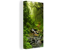 Canvas - Schilderij jungle - Bos - Water - Jungle - Muurdecoratie - Foto op canvas - 40x80 cm