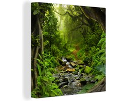 Canvas - Schilderij jungle - Bos - Water - Jungle - Muurdecoratie - Foto op canvas - 50x50 cm