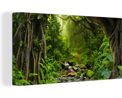 Canvas - Schilderij jungle - Bos - Water - Jungle - Muurdecoratie - Foto op canvas - 80x40 cm