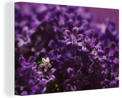 Canvas Schilderij Klein paars bloempje - 120x80 cm - Wanddecoratie