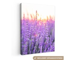 Canvas schilderij - Lavendel - Zonsondergang - Bloemen - Paars - Schilderij bloemen - 30x40 cm - Canvas doek - Muurdecoratie - Woonkamer
