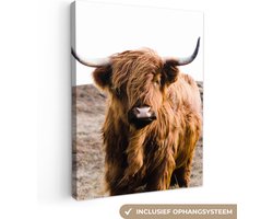 Canvas schilderij - Portret schotse hooglander 60x80 - Kamer decoratie accessoires - Schilderijen woonkamer dieren - Wanddecoratie slaapkamer landschap - Muurdecoratie keuken - Wanddoek interieur - Woondecoratie huis - Woonaccessoires