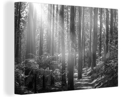 Canvas Schilderij Red Wood Forest - zwart wit - 90x60 cm - Wanddecoratie