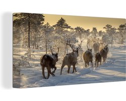 Canvas Schilderij Rendier - Bomen - Sneeuw - 80x40 cm - Wanddecoratie
