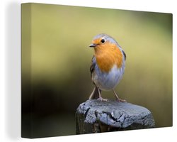 Canvas Schilderij Roodborstje in de natuur - 30x20 cm - Wanddecoratie