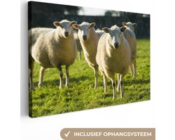 Canvas Schilderij Schapen - Dieren - Wol - 60x40 cm - Wanddecoratie