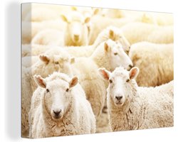 Canvas Schilderij Schapen - Wol - Wit - 120x80 cm - Wanddecoratie