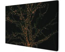 Canvas Schilderij - Wanddecoratie Wall Art - Kamer Decoratie - Hoge Kwaliteit Print - 120x80 cm - Gouden verlichting