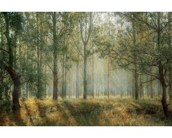 CANVASDOEK  BOS | Wanddecoratie | 90 CM x 60 CM | Canvas | Foto op canvas | Schilderij | Aan de muur | Natuur | Landschappen