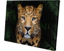 Canvasdoek Panter in de Jungle | Luipaard | Leopard | Wanddecoratie | 30 CM x 20 CM | Schilderij | Dieren | Natuur
