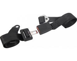 Carpoint 2-punts Gordel - Verstelbaar - Voertuigcategorie M & N - Personenauto of campers (M) - Bus, bestelauto of vrachtwagens (N) – Lengte 190cm