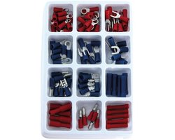 Carpoint Assortiment Kabelschoenen 100 stuks