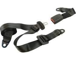 Carpoint Gordel - 3-punts - Voertuigcategorie M & N - personenauto of campers (M) - bussen, bestelauto of vrachtwagen (N) - Lengte 25/230cm