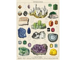 Cavallini & Co - Vintage poster/schoolplaat - Mineralen