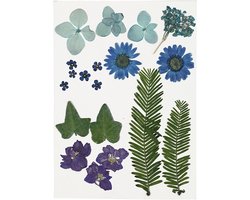 CC Gedroogde Bloemen en Bladeren 19 stuks Blauw