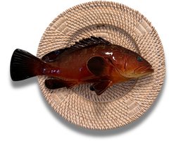 Cernia Multi Grande op een wit rotan bord, 27cm rond