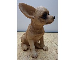 Chihuahua beeld - zittend - Decoratie - Woonaccessoires - Beeld - Zwart - 15cm Hoog