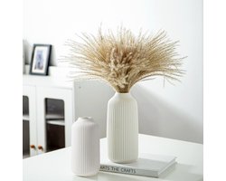 CHIWIN Vaas - Keramische Matte Dekovase – Handgemaakte Pampasgras Vaas – Minimalistische Keramiek Vaas – Woondecoratie & Cadeau, Multifunctioneel