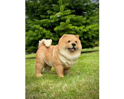 Chow Chow levensecht polystone 35 cm hoog - polyester - polystone - beeld - tuinbeeld - hoogkwalitatieve kunststof - decoratiefiguur - interieur - accessoire - voor binnen - voor buiten - cadeau - geschenk