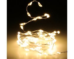Christmas Decoration draadverlichting zilver- 66 leds wit -batterij-1m