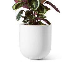 Cilindervormige Keramieken Bloempot - Met afwateringsgat en rubberen stop - Voor kruiden en kleine kamerplanten - Wit, 20 cm