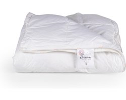 Cinderella Junior Blues 2.0 synthetisch 4 seizoenen dekbed 100x135cm