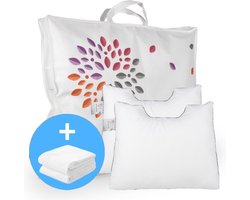 Cinderella Rondo Medium Hoofdkussen Set (2 Kussens + 2 Moltonslopen) - Anti Allergie - 50x60 cm - Wit