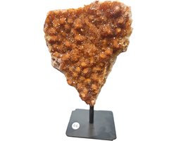 Citrien op standaard licht 15-16cm