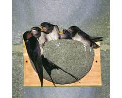 CJ Wildlife Kunstnest voor Boerenzwaluw - Enkel Zwaluwnest - Nestkast voor Zwaluw - Vogelhuis van FSC-gecertificeerd Hout