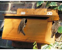 CJ Wildlife - Nestkast Mus 34 mm - Hout - FSC-gecertificeerd