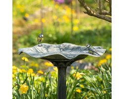 CJ Wildlife Vogeldrinkschaal voor Tuinvogels - Silbersee - Vogelbad op Voet - Waterschaal op Sokkel - Drinkschaal voor Buiten - Grijs/Zilver