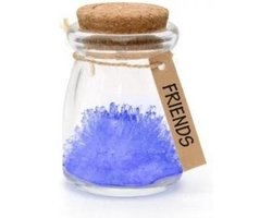 CKB Wenspot pot glazen potjes met deksel vaas flesjes kurk flesje potten box potje message in a bottle flessenpost mooie momenten wens wensflesje geluksflesjes wish jar wensflesjes wensenpot jars wishjar glas cristal crystal klein Vriendschap