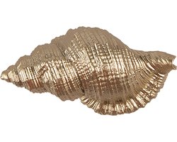 Clayre & Eef Deurknop Schelp 8x4x5 cm Goudkleurig Polyresin