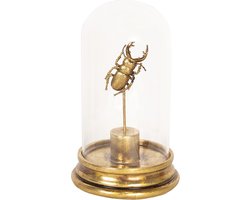 Clayre & Eef Stolp 6GL2470 Ø 12*21 cm Transparant Kunststof / Glas Rond Kever Glazen Stolp Stolp met Decoratie