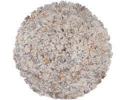 Clayre & Eef Wandlamp Ø 62x12 cm Grijs Metaal