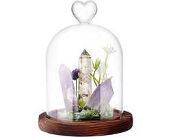 Clear Cloche Glazen Koepel - 16,5 x 10 cm Glazen Cloche Bell Jar met Hart Top Handvat Vitrine - Bruine Houten Basis voor Antieke Collectibles Specimens Planten Stofdicht Kerst Tafel Decor