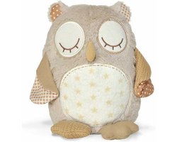 Cloud B Stay Asleep Buddies Nighty Night Owl