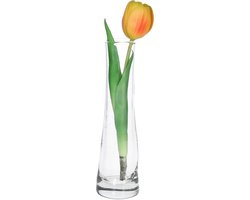 CM Bloemenvaas smal model - flute vaas - 20 x 6 cm - transparant - voor losse bloem