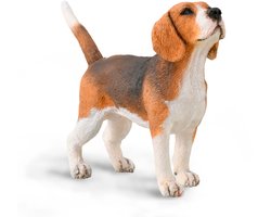 COLLECTA Figurine - Beagle - (M) - Honden - Handgeschilderd - Miniatuur